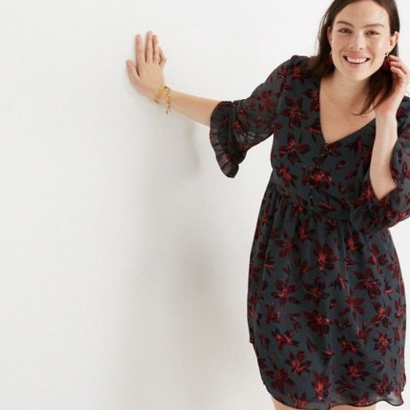 NWT Madewell Moonblossom Ruffle-Sleeve Dress - Picture 8 of 9